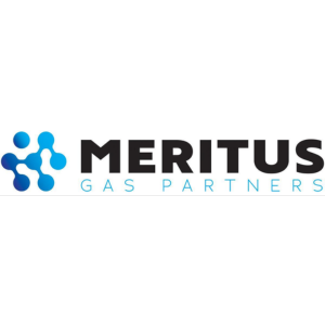 Meritus_300x300