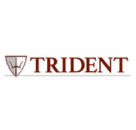 Trident Process Systems